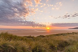 日落,海灘,草