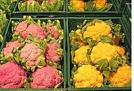 菜花,新,新的育种