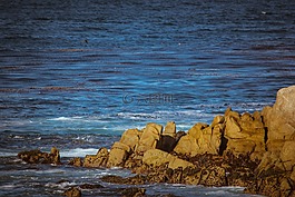 水,海,海濱