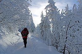 冬天,雪,積冰