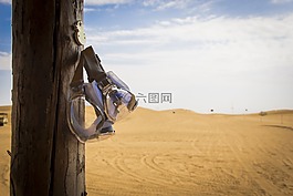沙坡頭,沙漠,風鏡