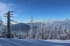 冬天,雪,積冰