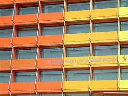 橘子,外觀,windows