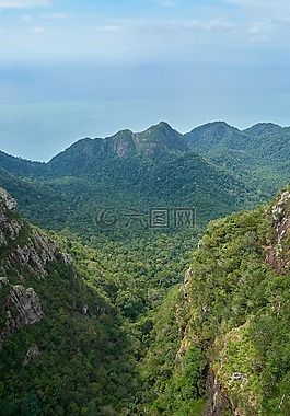 山,性質(zhì),樹