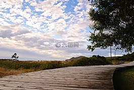 步行,路徑,景觀