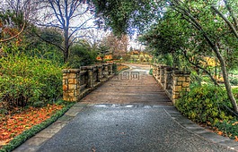橋,植物園,行人天橋