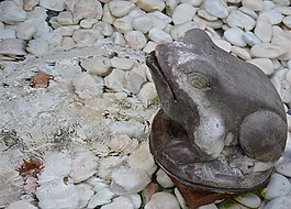 青蛙,噴泉,水