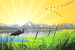 春天,湖,苍鹭