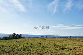 海浪,大海,海边
