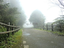 草地,秋天,背景