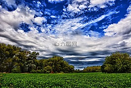 景觀,種植,云