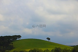 自然,单,自由