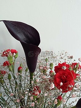 鮮花,花束,開花