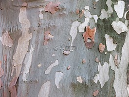 飛機(jī),吠,偽裝模式