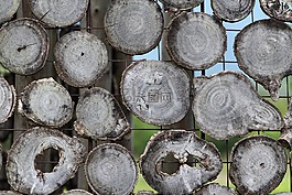 自然,木頭,藝術(shù)
