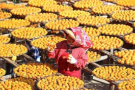 自然,人物,婦女