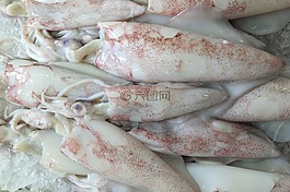 葡萄牙,里斯本,魚