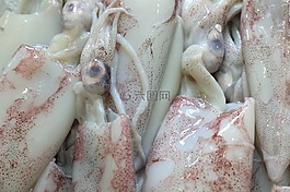 葡萄牙,里斯本,魚