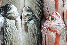 葡萄牙,里斯本,魚