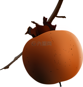 甜柿,水果,成熟