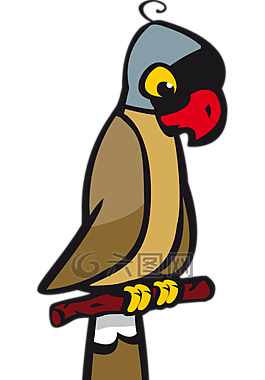 鳥(niǎo),鸚鵡,動(dòng)物