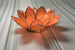 睡蓮,玻璃,橙