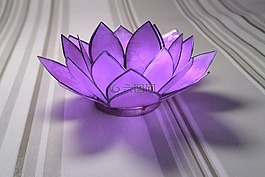 睡蓮,玻璃,紫