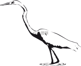 鳥,白鷺,馬什