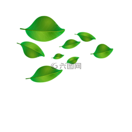 葉子,圖形,葉