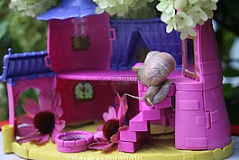 夏季,蜗牛,玩具