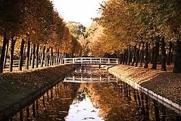 公園,木橋,性質