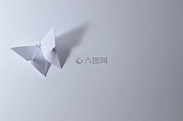 折纸,蝴蝶,叶