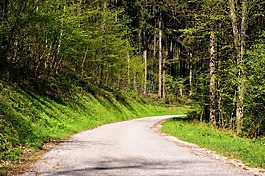 春天,道路,離