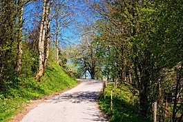 春天,道路,離