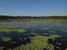 湖,公園,水