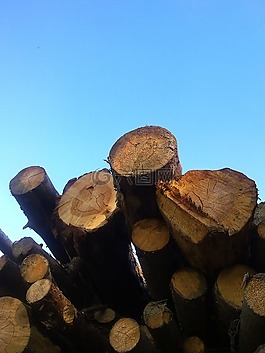 木,holzstapel,柴