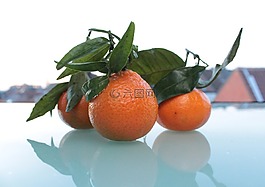 官吏,特写,食品