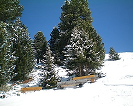 冬天,雪,板凳