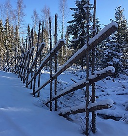 雪,冬天,花园农场