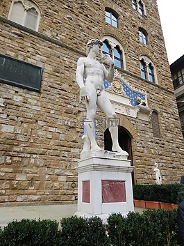 david,佛羅倫薩,費倫澤