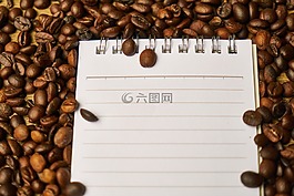 咖啡,核心,咖啡因