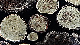 紋理,背景,設(shè)計(jì)