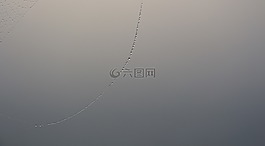 露水,霧,蜘蛛網(wǎng)