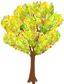 樹,秋,分支機(jī)構(gòu)