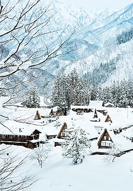 雪,冬季,冷