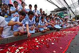 佛教徒,玫瑰花瓣,儀式