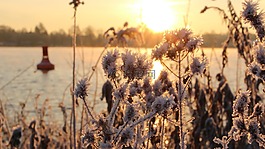 日出,水,morgenstimmung