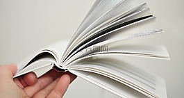 書頁,本書,葉子