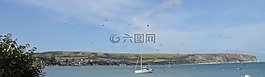 英格蘭,船,海鷗