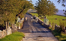 牧場,路,秋